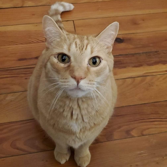 Meet your Posher, Hayley - Picture 7 of 8